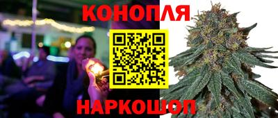 дмт Моздок