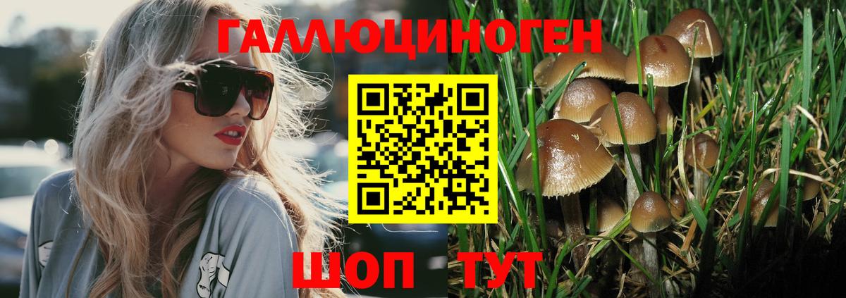 Псилоцибиновые грибы мухоморы Щёлково